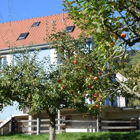 Les Locations De Stephanie ,Gite Le Verger Sondernach 외부 사진