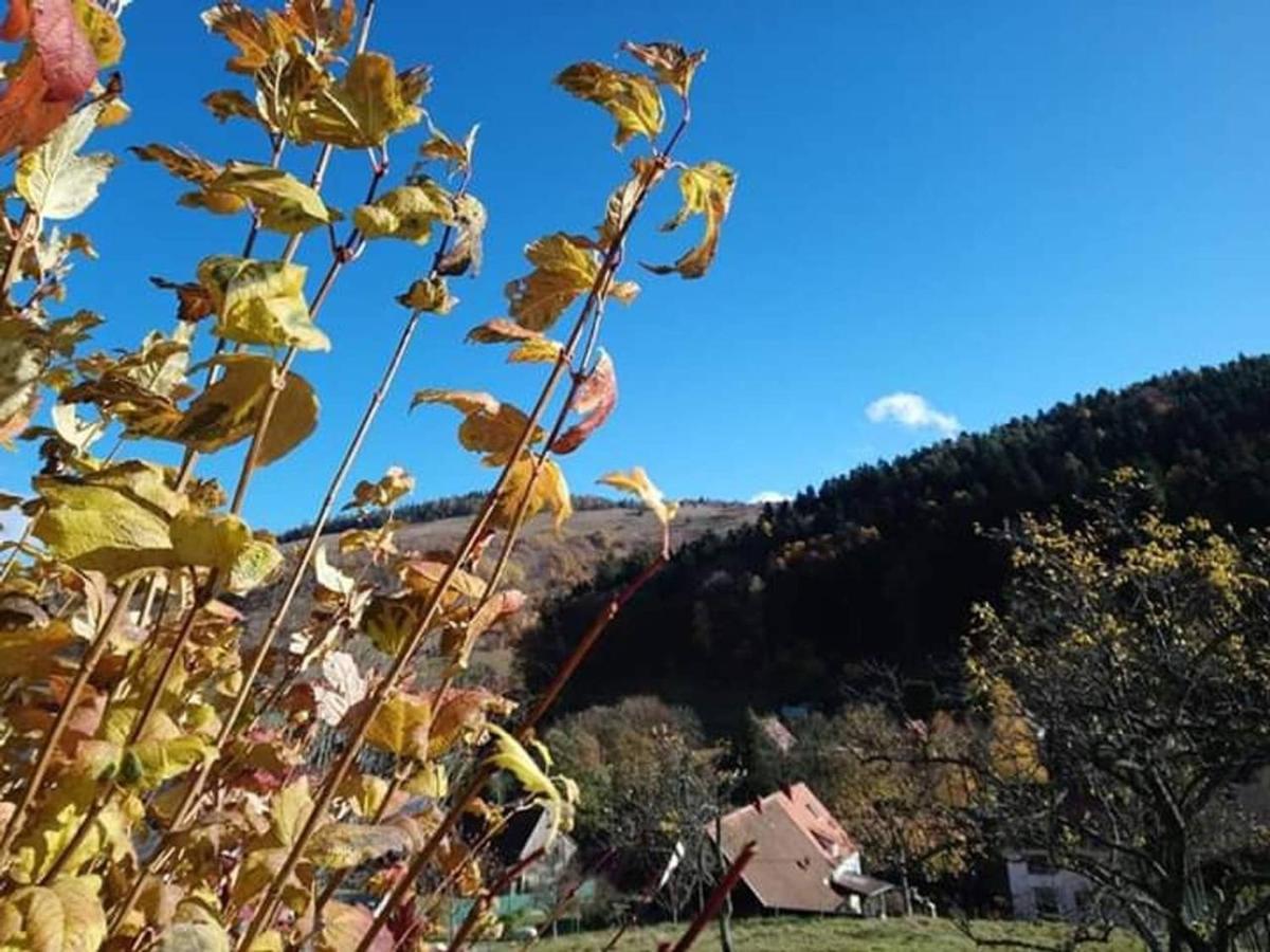 Les Locations De Stephanie ,Gite Le Verger Sondernach 외부 사진