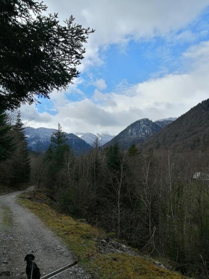 Les Locations De Stephanie ,Gite Le Verger Sondernach 외부 사진